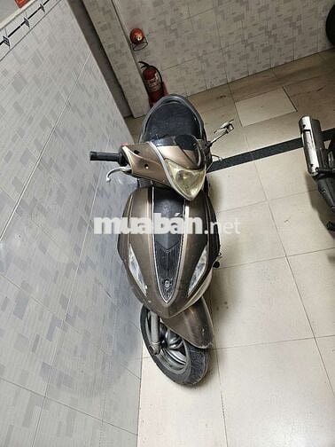 Piaggio Fly 2023 Đồng TP.HCM
