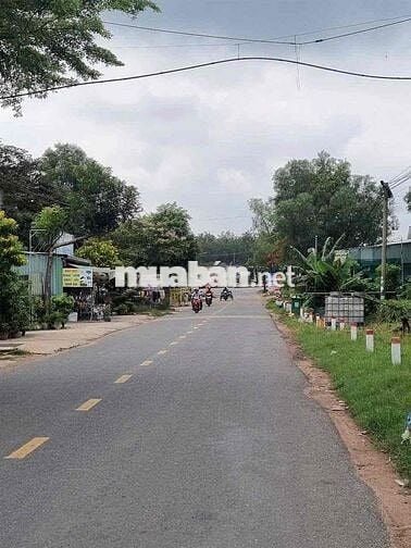 🏡 ĐẤT NỀN VÀNG TẠI BÌNH DƯƠNG - GIÁ TỐT VÀ TIỀM NĂNG 💰