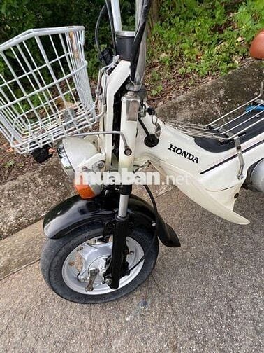 Honda Chaly 50cc Trắng Nhật Bản