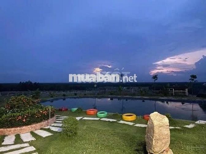 BÁN ĐẤT DỰ ÁN KHU BIỆT THỰ GOLS HOMES DẦU TIẾNG 300M2