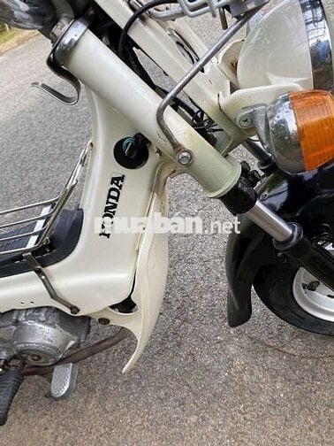 Honda Chaly 50cc Trắng Nhật Bản