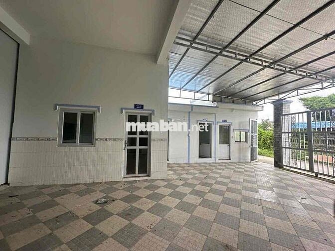 🔴 CHO THUÊ KHO XƯỞNG ĐỨC HÒA GIÁP BÌNH CHÁNH HÌNH ẢNH THẬT 100%