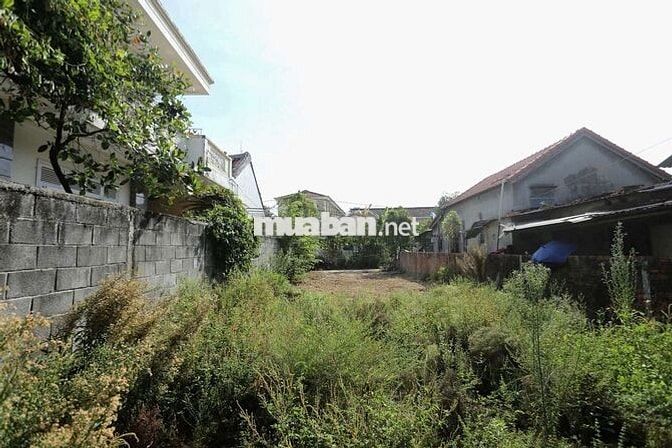 Đất trung tâm Hội An, Cẩm Châu khu vực kinh doanh dịch vụ ~200m2.