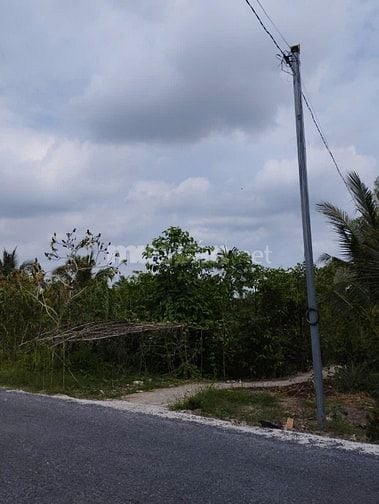 1.4ha đất Cần Thơ bán gấp 7.8 tỷ thương lượng ! ngân  hàng hỗ trợ 6ty