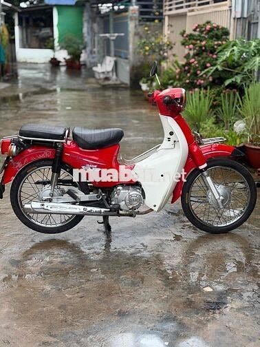 Cúp clsasit máy zjn 2016 biển 65 50cc ko bằng lái