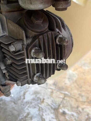 Cúp clsasit máy zjn 2016 biển 65 50cc ko bằng lái