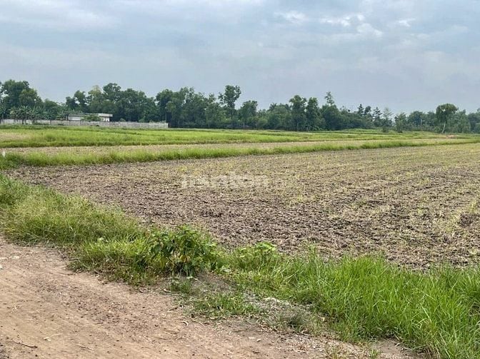 MẶT TIỀN NGUYỄN THỊ LY – XUÂN THỚI SƠN, HÓC MÔN