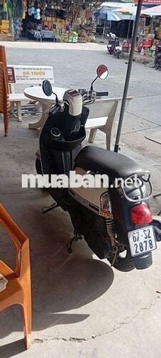 Yamaha Cuci Trắng