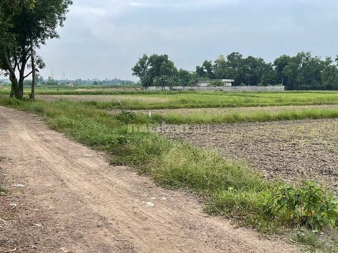 MẶT TIỀN NGUYỄN THỊ LY – XUÂN THỚI SƠN, HÓC MÔN