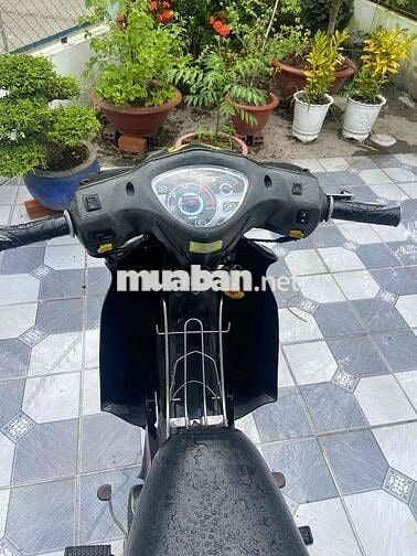 Elegant Elegant 50cc 2017 Đen