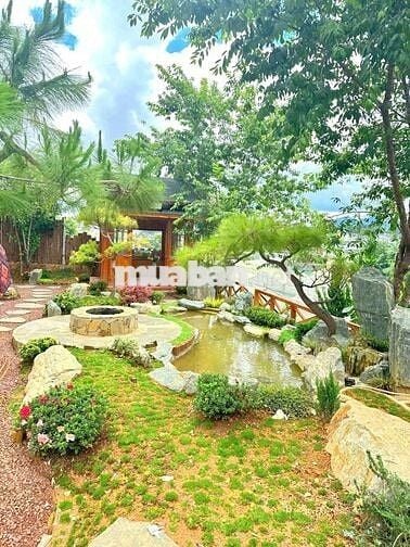 CHO THUÊ CĂN HỘ 2 PHÒNG NGỦ FULL NỘI THẤT – BAN CÔNG – ĐÀ LẠT