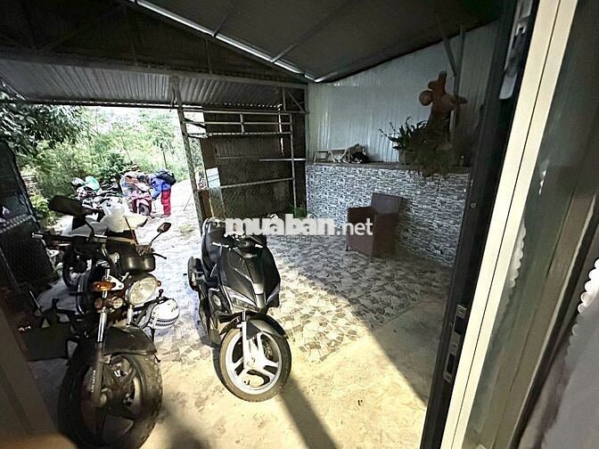Cho Thuê Căn Hộ Studio View Đẹp – Khe Sanh, Phường 10