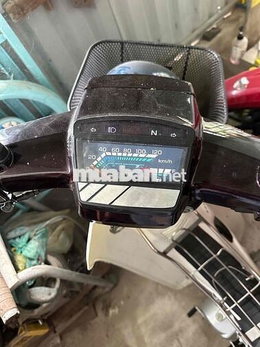 Honda Dream Trắng, Đen Xăng