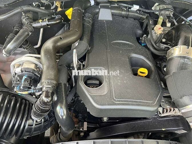 Ford Ranger Wildtrak 2020 1 cầu Trắng