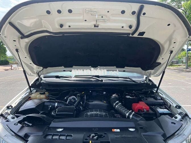 Ford Ranger Wildtrak 2020 1 cầu Trắng