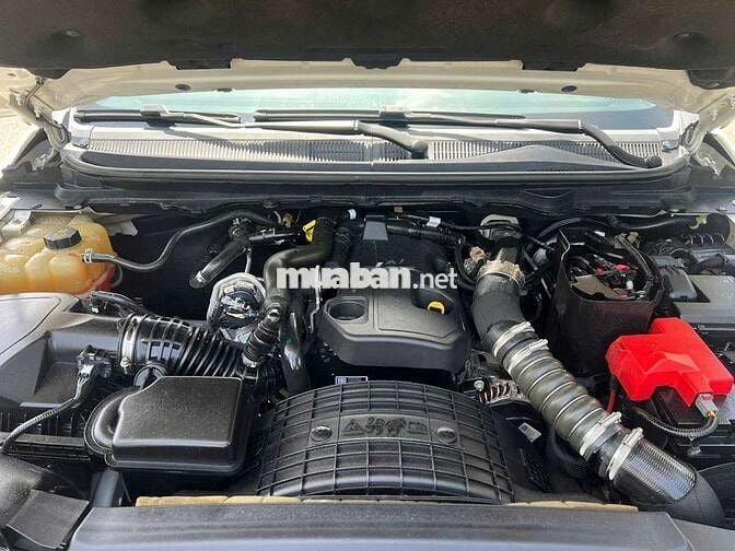 Ford Ranger Wildtrak 2020 1 cầu Trắng