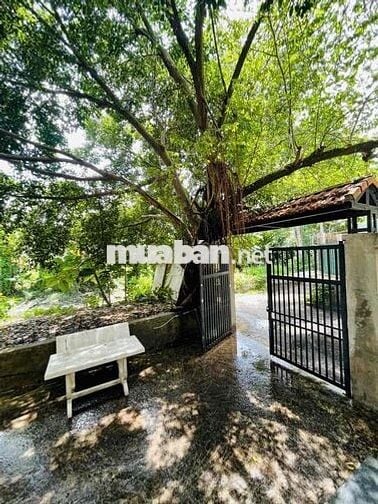 Nhà cấp 4 sân vườn rộng 200m2 hẻm xe hơi tại đường 22 Linh Đông