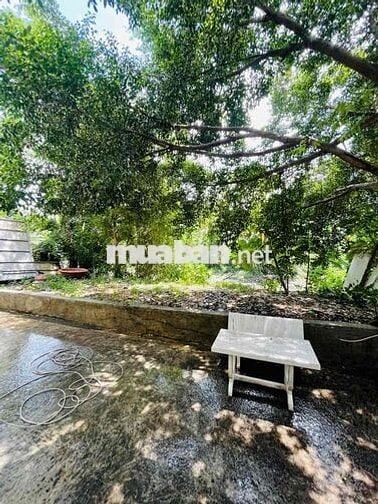 Nhà cấp 4 sân vườn rộng 200m2 hẻm xe hơi tại đường 22 Linh Đông