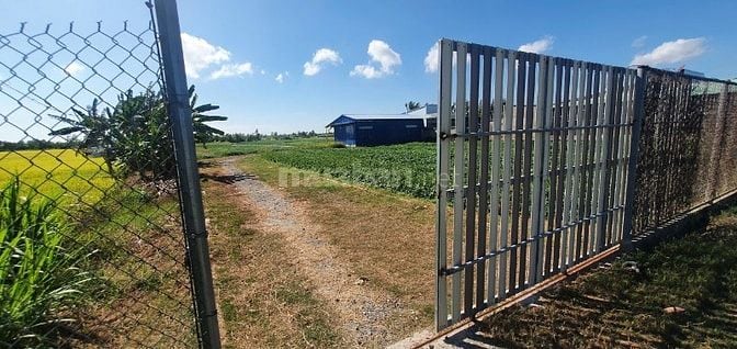 Bán 16.500m2 đất mặt tiền đường HL11, Gò Công Tây, Tiền Giang