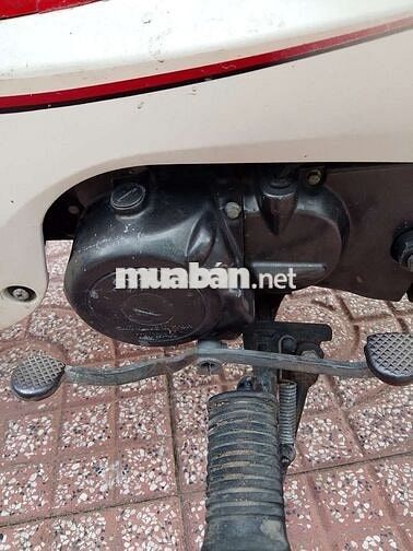 SYM ANGELA 50cc Trắng, Đỏ
