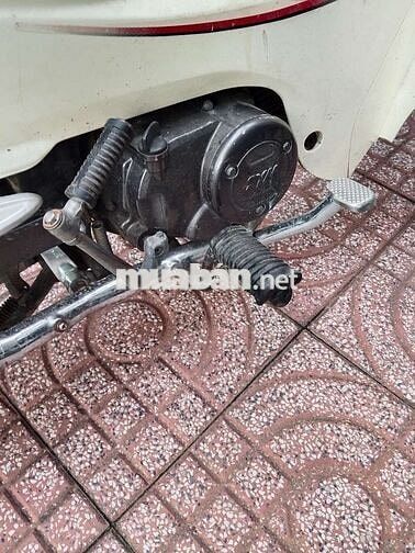 SYM ANGELA 50cc Trắng, Đỏ