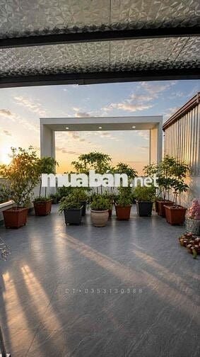 HẺM 8M Cộng Hoà - KHÔNG QH TOD