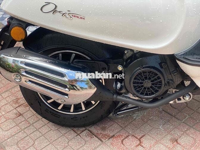Xe mới mua đúng 1 tháng ( 6/2026 ) Để rẻ lại ạ.