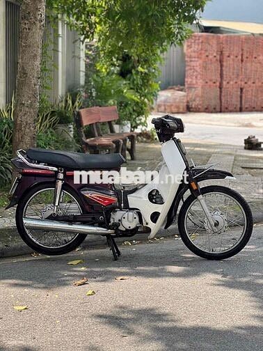 Honda Dream Liên Doanh 2020 Nâu Chất ✅✅✅✅