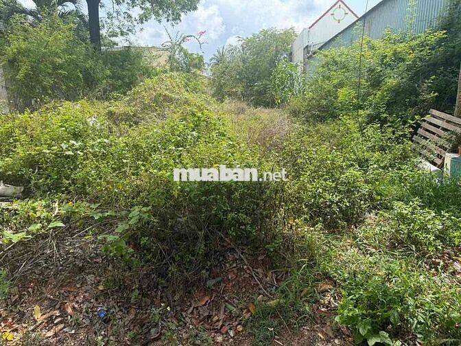 BÁN ĐẤT GẦN CỬA KHẨU QUỐC TẾ HÀ TIÊN