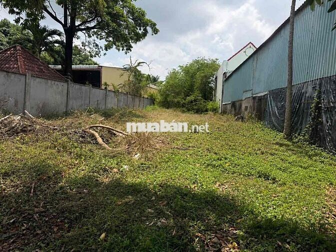 BÁN ĐẤT GẦN CỬA KHẨU QUỐC TẾ HÀ TIÊN