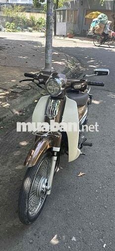 Cub Cub 2022 Nâu trắng