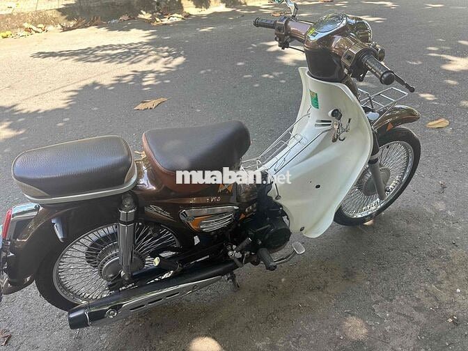 Cub Cub 2022 Nâu trắng