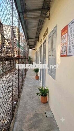 🔥 MUA ĐẤT TẶNG DÃY TRỌ – 126M² – ĐƯỜNG XE TẢI THÔNG – NGAY LÀNG ĐẠI HỌ