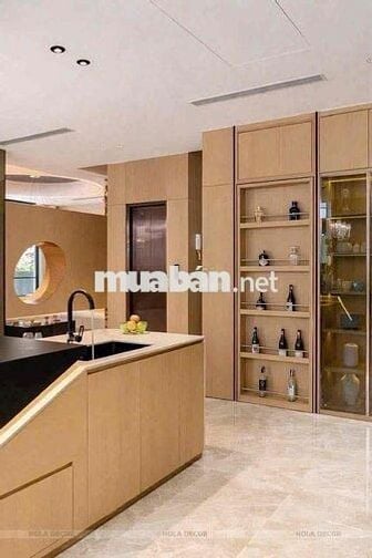 BÁN VÀ CHO THUÊ BIỆT THỰ MỸ GIANG 1A – PHÚ MỸ HƯNG
