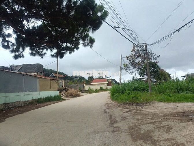 BÁN ĐẤT VIEW TOÀN CẢNH TP. ĐÀ LẠT – ĐƯỜNG LÂM VĂN THẠCH, PHƯỜNG 11 🌿