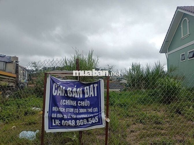 BÁN ĐẤT VIEW TOÀN CẢNH TP. ĐÀ LẠT – ĐƯỜNG LÂM VĂN THẠCH, PHƯỜNG 11 🌿