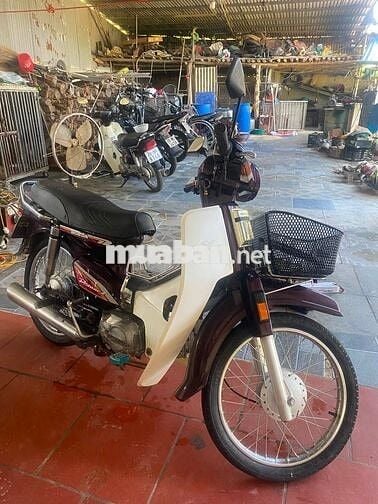 Honda Dream Thái