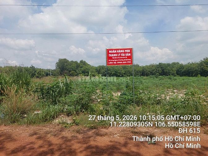 Công ty đấu giá hợp danh Sao Việt 