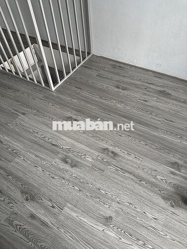 Cho thuê nhà nguyên căn 1 Lầu 1 Trệt Nằm Giữa Phan Huy Ích và Cống Lở
