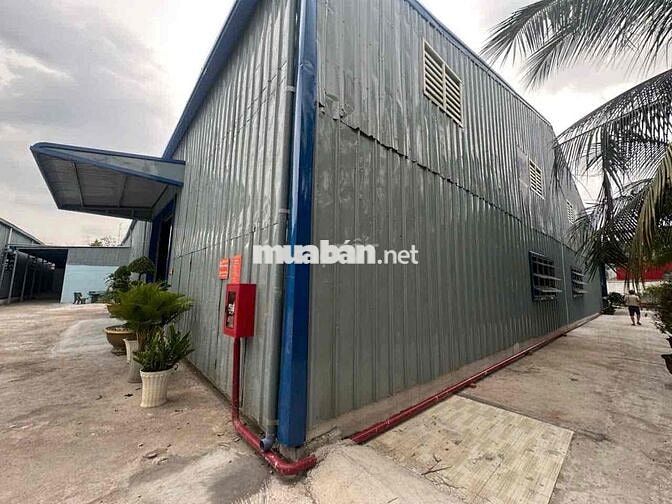 🔴 CHO THUÊ KHO XƯỞNG PHƯỚC LÝ CẦN GIUỘC LONG AN HÌNH ẢNH THẬT GIÁ RẺ