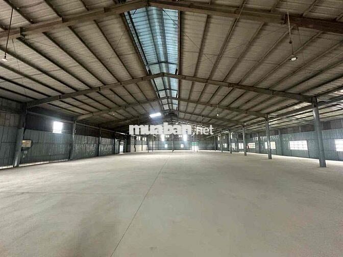 🔴 CHO THUÊ KHO XƯỞNG PHƯỚC LÝ CẦN GIUỘC LONG AN HÌNH ẢNH THẬT GIÁ RẺ