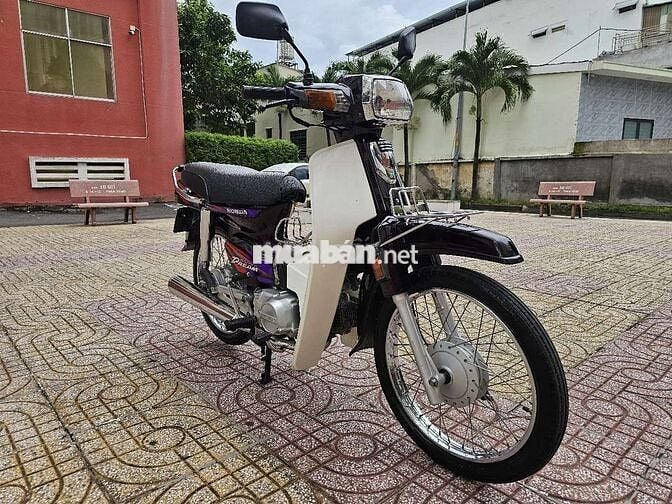 Honda Super Dream 1998 Trắng, Nâu cũ