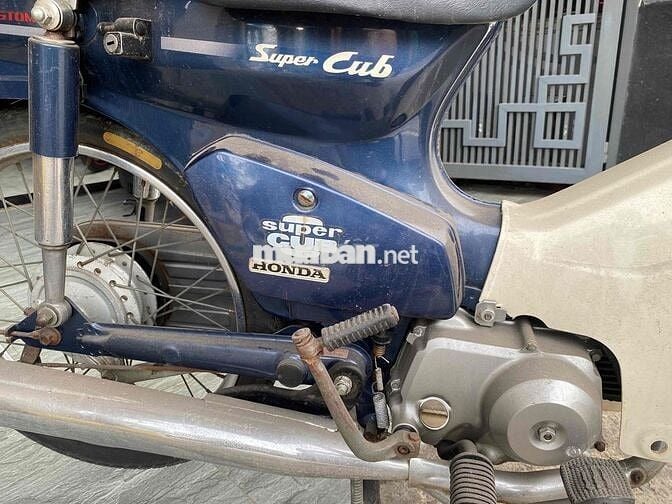 cup 70cc có đề