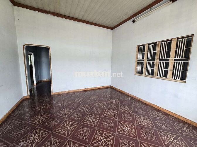 ​Cho thuê nhà nguyên căn/ đất ODT mặt tiền gần 12m đường DT 747B