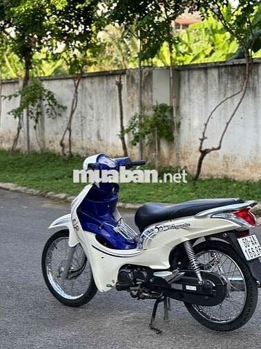 SYM Angela 50cc 2019 Trắng, Xanh