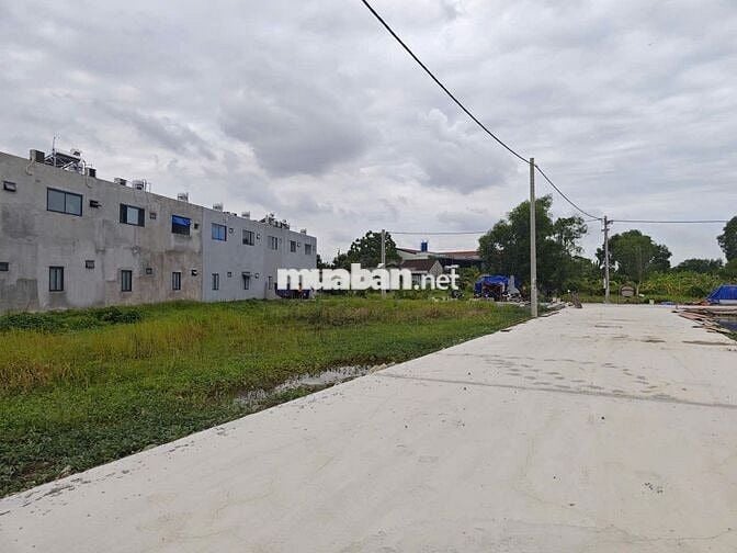 Đất nền Tân Triều Biên Hòa 5x19 1450tr trả thẳng. đường 6m