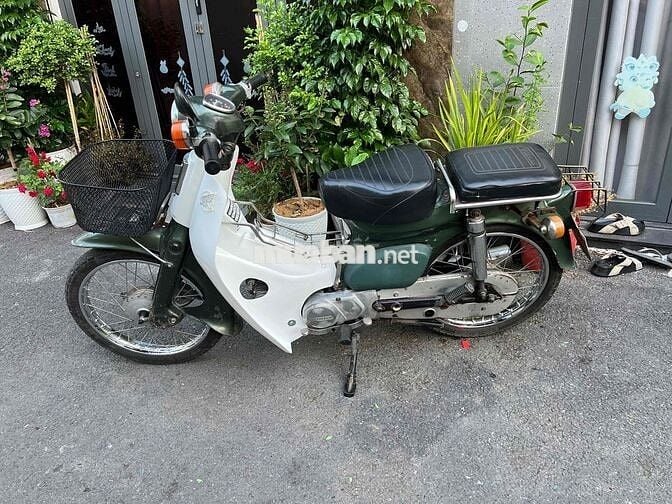 Honda Cub 81 50cc Xanh rêu, Trắng