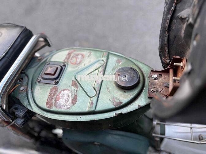 Honda Cub 81 50cc Xanh rêu, Trắng