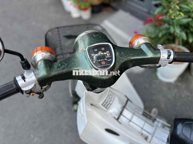 Honda Cub 81 50cc Xanh rêu, Trắng