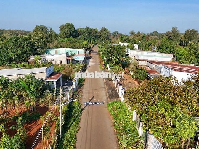 Bán 5 lô liền kề, cách TL328 khoảng 100m, Hòa Hưng, Xuyên Mộc, BR-VT